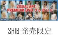 SHIB-700 发售禁止