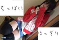 [团购发货] 特别 Hiroinet 撮影者イチ押し援交 お嬢様学校 33部