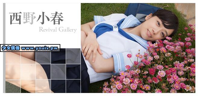 Minisuka.tv Koharu Nishino 西野小春 w_p_dvd11_koharu05.rar